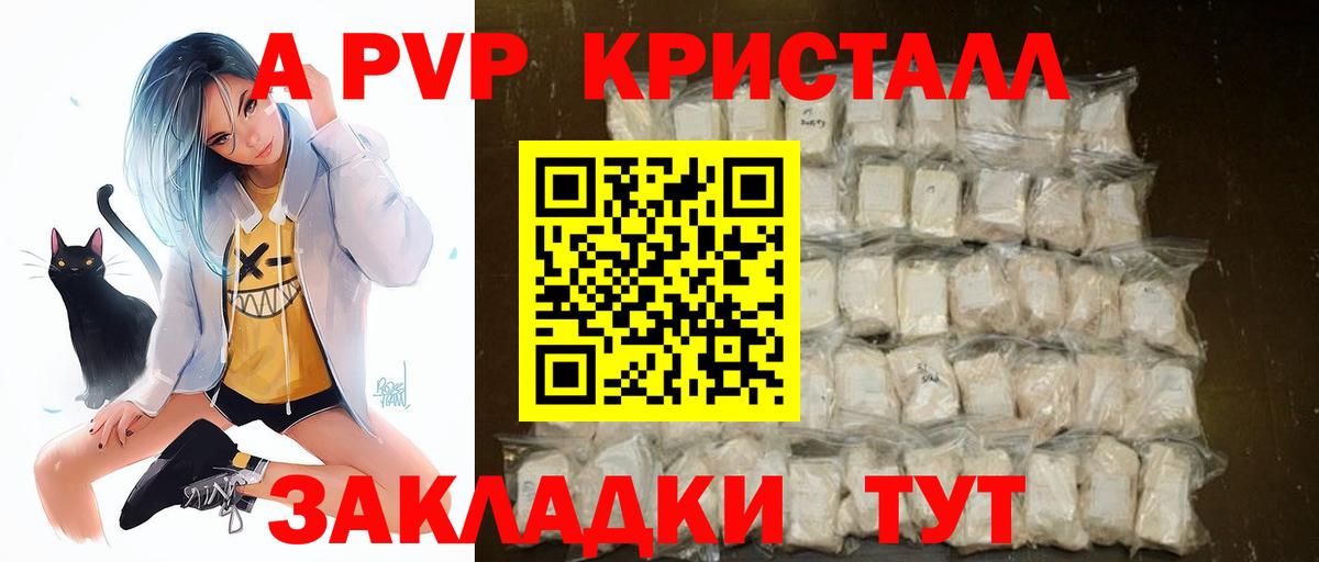 A PVP СК Луга