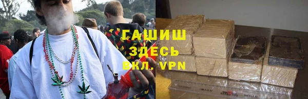 прущие грибы Нязепетровск