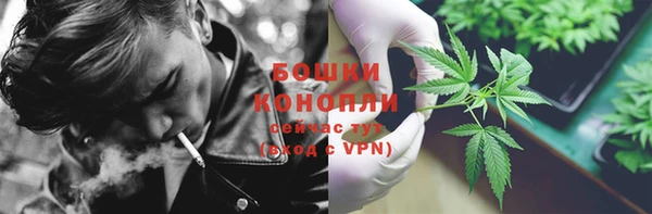 ГАЛЛЮЦИНОГЕННЫЕ ГРИБЫ Усмань