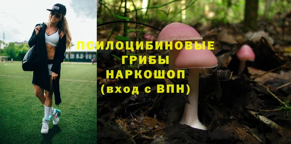 apvp Тында