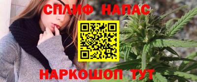 крисы Дубна