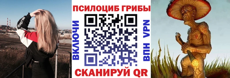 Галлюциногенные грибы Cubensis  кракен вход  Луга 