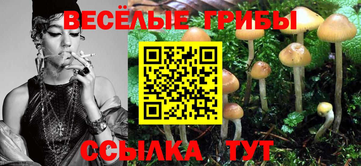 Галлюциногенные грибы Psilocybine cubensis Луга