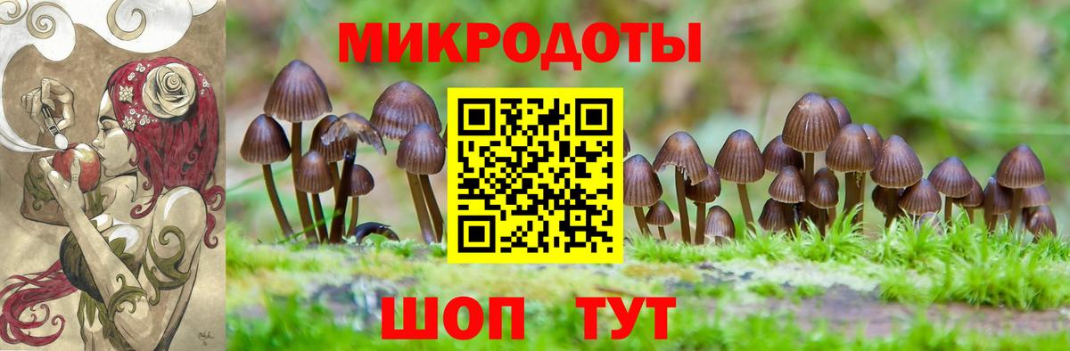 Псилоцибиновые грибы мицелий  Вход с VPN  Луга  Галлюциногенные грибы GOLDEN TEACHER 