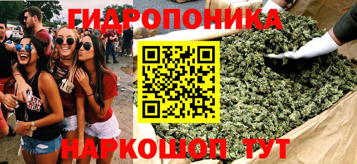 Каннабис сатива  Бошки марихуана сатива  Конопля VHQ  Луга  Бошки марихуана семена  Вход с VPN 