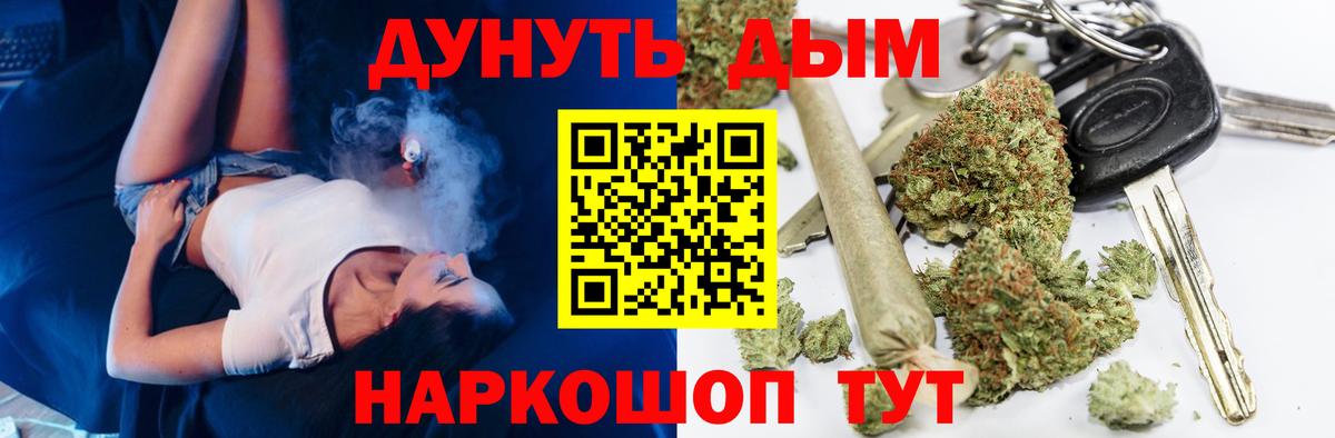 Марихуана гибрид  Каннабис Bruce Banner  Луга  Бошки Шишки план  Марихуана тримм 